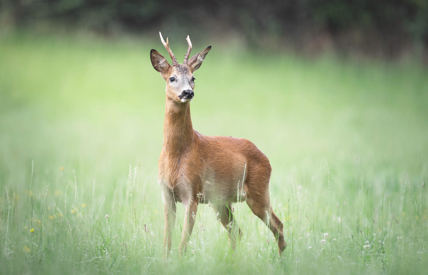 Manon Knasko Photographies